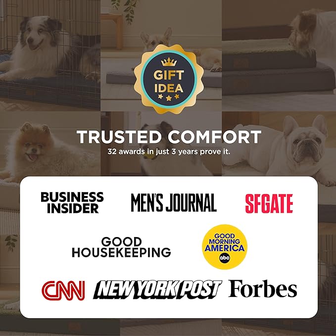 Bedsure Dog Bed Medium Size Dog - Comfy Flat Puppy Beds with Removable Washable Cover, Orthopedic Egg Crate Foam Pet Mat, Suitable for Pet Up to 30 lbs