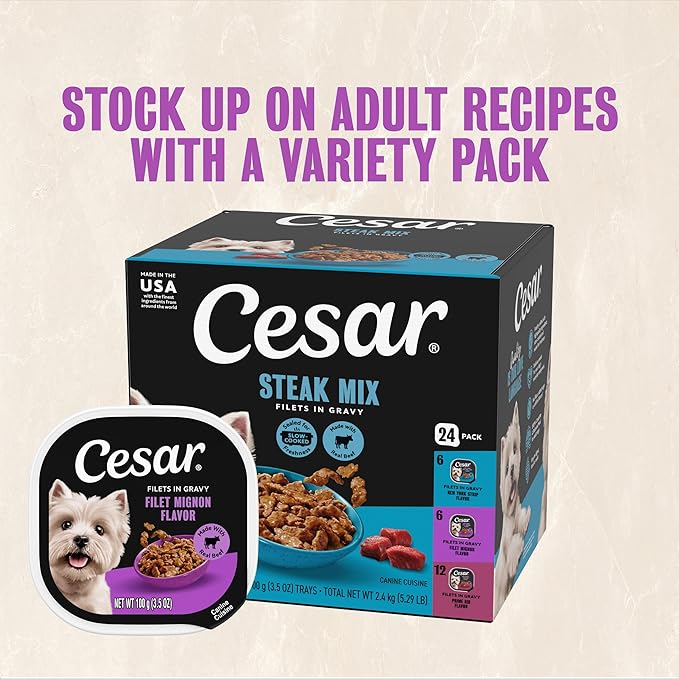 Cesar Filets in Gravy Adult Wet Dog Food Filet Mignon Flavor, 3.5 oz. Easy Peel Dog Food Tray, 24 Count (Pack of 1)