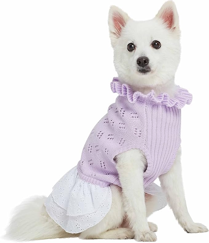 Blueberry Pet My Cutie Princess Ruffle Collar Dog Sweater Dress with Guipure Lace, Light Lavender, Back Length 10", Fall Winter Clothes for Girl Dogs