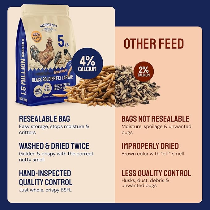 Hatortempt 5 lb Black Soldier Fly Larvae for Chickens - 4% Calcium for Stronger Shells and Better Egg Production - Organic Dried Treats for Laying Hens, Wild Birds, Ducks and Reptiles