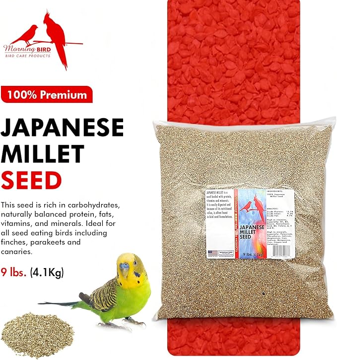 Morning Bird Japanese Millet Seed Bag 9 lbs - Healthy & Nutritious Pet Bird Food to Support Health & Immunity - Delicious Unique and Natural Flavor – Ideal Bird Feed for All Seed Eating Birds