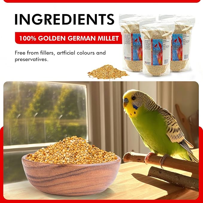 Morning Bird Golden German Millet 4.5 lbs (3-Pack, 1.5 lbs Each) – Natural Millet Seed for Birds – Natural Protein & Fiber Source – Easy-to-Digest Daily Nutrition for All Bird Types