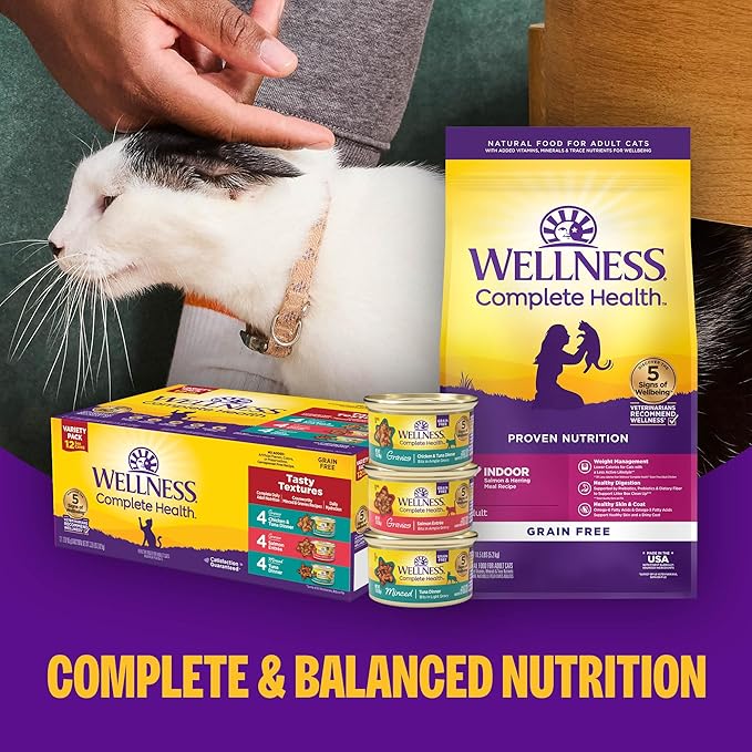 Wellness Complete Health Pate Adult Wet Cat Food, Natural, Protein-Rich, Grain Free, 5.5 Ounce, 24 Pack, (Chicken)