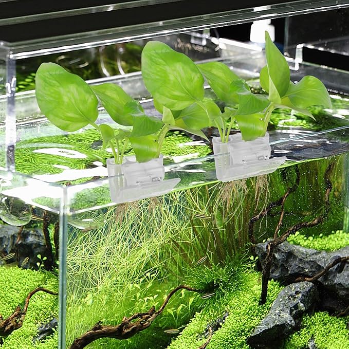 3 Holes Upgraded Aquatic Plant Cup Aquarium Plant Holder for Tank,Aquascape Accessories Decorations- White 4 Pcs