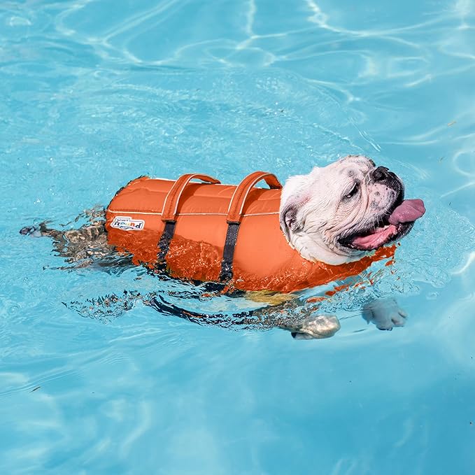 Outward Hound Granby Splash Orange Dog Life Jacket, Large
