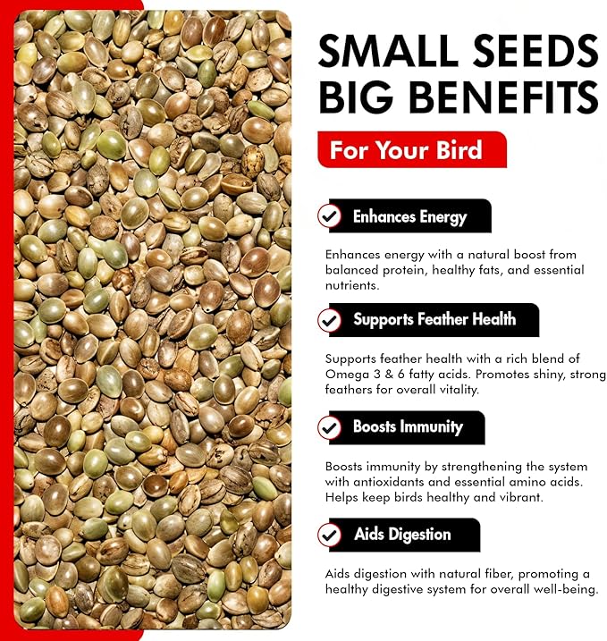 Morning Bird Hemp Seeds 18 lbs (2-Pack, 9 lbs Each) – High in Natural Protein, Healthy Fats, Omega 3 and 6 Fatty Acids, Delicious Natural Flavor, Supports Feather Growth & Overall Health