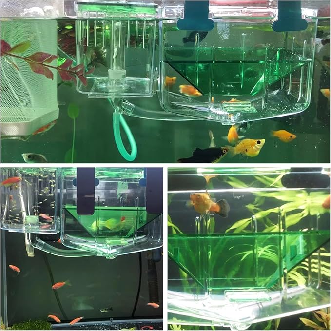 EVTSCAN Double Layer Fish Breeding Box Aquarium Fish Isolation Box Safe Hatchery Incubator Fish Separation Tank for Newborn Fish Injured Fish Shrimp