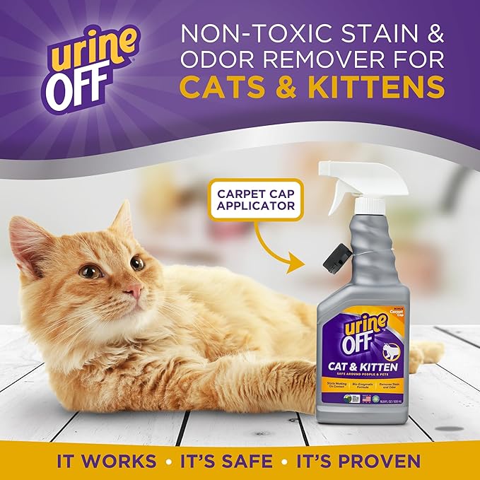 urineOFF Kitten & Cat Odor & Stain Remover | Fresh Scent Carpet Cleaner Spray | Bio Enzymatic Stain & Urine Odor Eliminator | Pet Safe Cleaner | 16.9 oz.