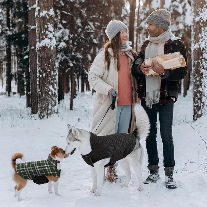 Kuoser Warm Dog Coat, Waterproof Dog Jacket for Extra Large Dogs, Adjustable Durable XXL Doggie Winter Coat Reversible Puppy Cold Weather Apparel from Small to Large Breed, Green XXL