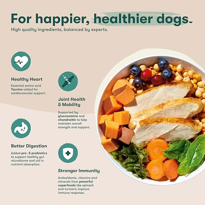 Jinx Premium Dry Dog Food for Senior Dogs - Real Chicken, Brown Rice & Sweet Potato Kibble with Antioxidants for Immune Support & Whole Grains for Digestive Support - No Fillers - 23.5lb