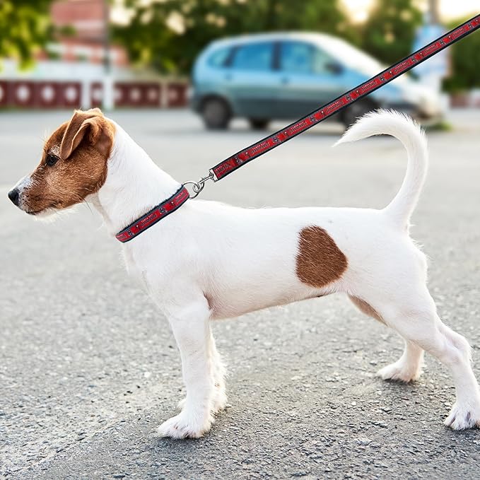 Tampa Bay Buccaneers Leash