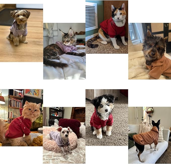 TAPBULL Dog Dresses, Fashionable Pet Dog Sweatshirt Clothes in Dark Colors, Cute Cat Birthday Dress Outfit (Red/Blue/Orange 3-Pack), XX-Large