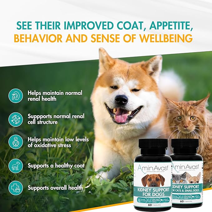 AminAvast Kidney Support Supplement for Dogs, 1000mg 3-Pack - Promotes Natural Kidney Function - Aids in Health and Vitality of Aging Kidneys - Easily Administered - 60 Sprinkle Capsules