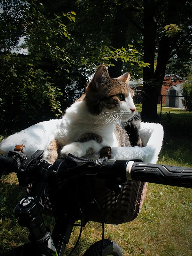 Bicycle Basket for Small Dogs and Cats - Bike Basket Includes Wired Cage Top with Sun Shade, Plush Removable Padded Liner, and Bicycle Bell