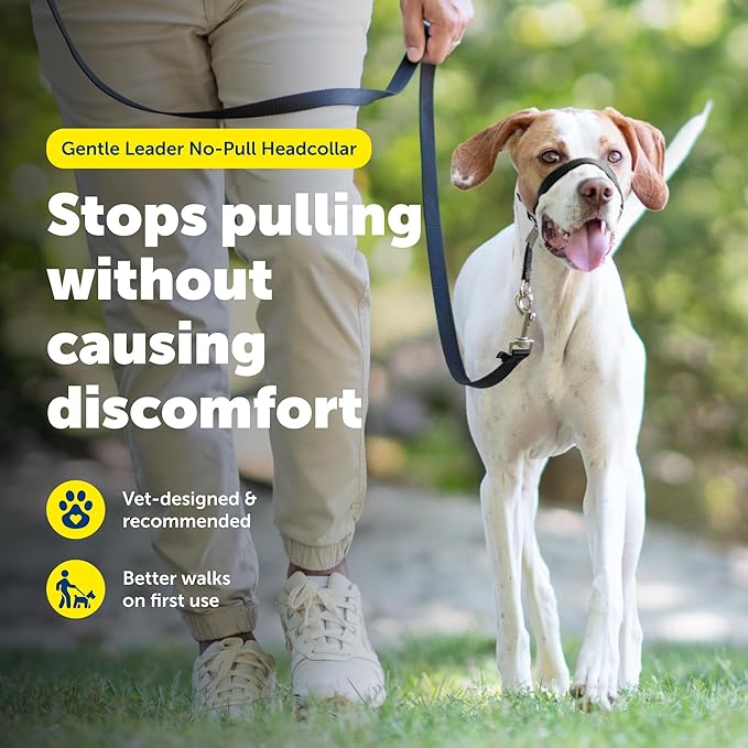 PetSafe Gentle Leader Headcollar No-Pull Dog Collar - Helps Improve Walks - Durable Nylon Construction - Padded Nose Loop - Adjustable Fit - Comfort Walking Halter - Medium, Silver