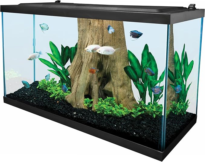 Tetra Glass Aquarium 29 Gallons, Rectangular Fish Tank, Assorted Color