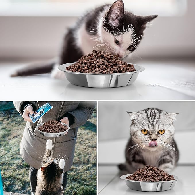 HUOIQUE 10 Pcs 6.2 Inches Stainless Steel Cat Bowls, Whisker Friendly Metal Shallow Cat Dishes for Food and Water