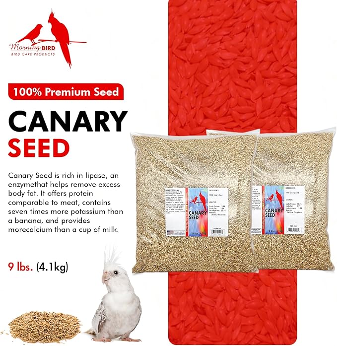 Morning Bird Canary Seed 18 lbs (2-Pack, 9 lbs Each), Nutrient-Rich Bird Seed, Creamy Golden Grain Powerhouse - Supports Healthy Feathers & Strong Bones – Natural Daily Nutrition for All Bird Types
