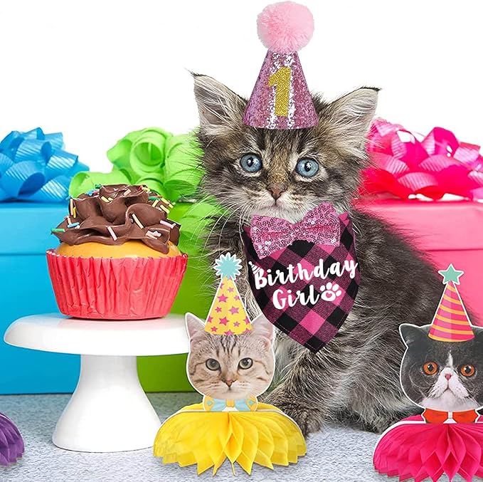 Cat Birthday Decorations, Cat Birthday Hat with Numbers Bandana Bow Tie for Cats Kittens (Pink)