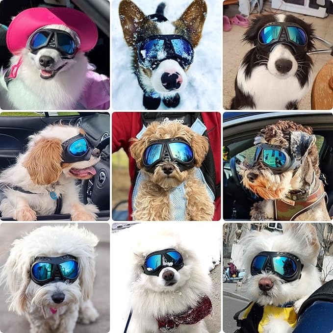 PETLESO Dog Goggles for Small to Medium Breeds, Small Dog Sunglasses UV Protection Windproof Snowproof, Outdoor Driving/Riding/Hiking Pet Eyes Protection, Soft Frame Adjustable Straps, Blue Lens