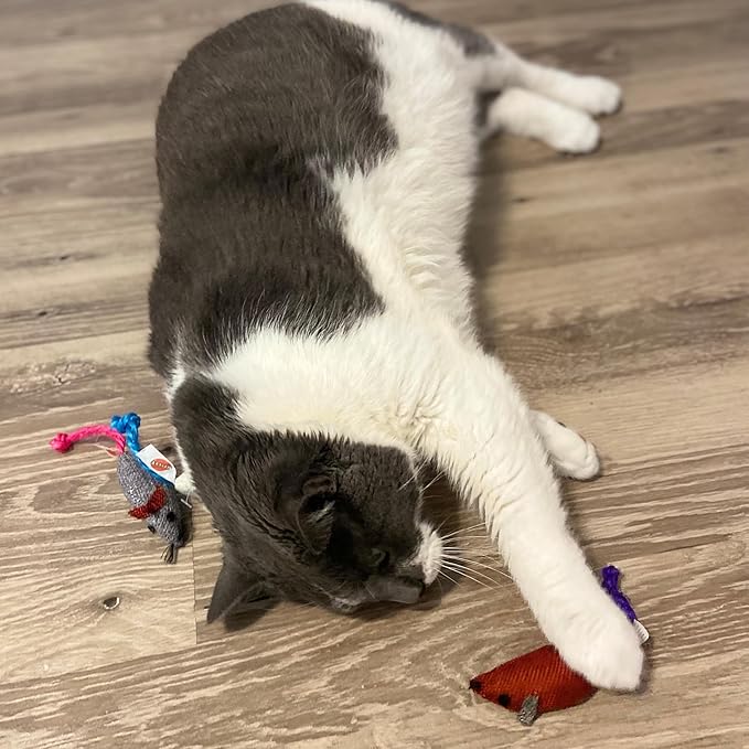SPOT Burlap Mice Cat Toys, Interactive & Durable Catnip Toys for Indoor Cats & Kittens, Perfect for Hunting & Play, 3-Inch, Assorted Colors, 3 Pieces
