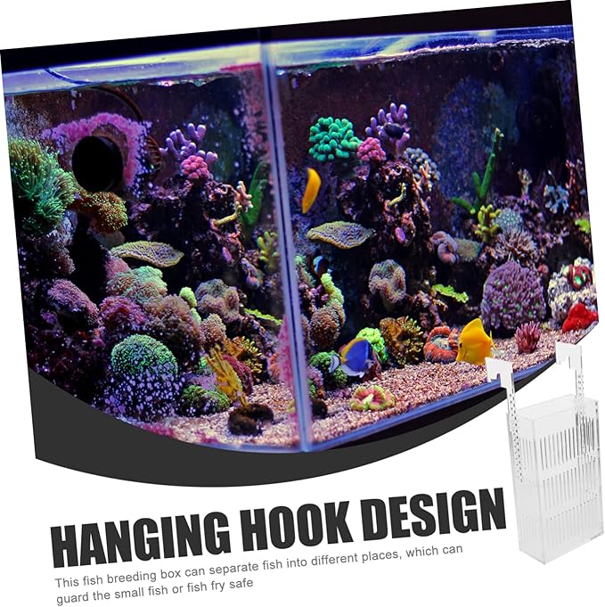 Breeding Box for Fish Tank Acrylic Isolation Container with View for Safe Fish Hatching Prevents Adult Easy to Clean for Breeding