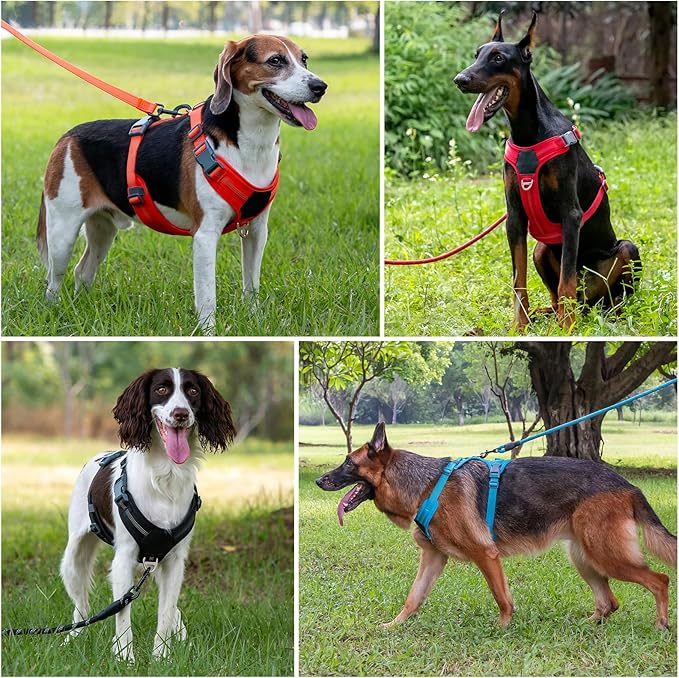 Plutus Pet No Pull Dog Harness, Release at Neck, Soft Padded, Reflective Adjustable Dog Vest Harness for Small, Medium, Large Dogs(Ranger Green, M)