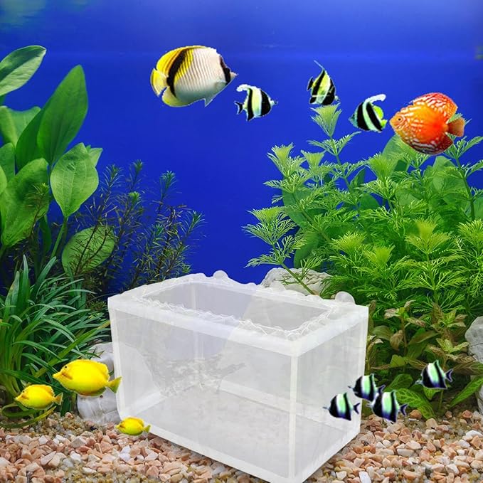 Fish Breeding Box – Aquarium Breeder Box with Mesh, Fish Fry Hatchery & Isolation Box, Suction Cup Fish Tank Breeding Box, Juvenile Fish Separation Net for clownfishh and Other Fish