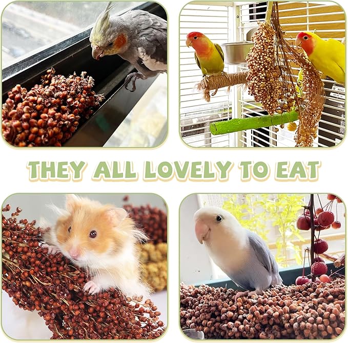 Fhiny Millet Spray for Birds, 6 PCS Natural Sun-Dried Red Sorghum Grain for Birds Seed Original Parrot Treats & Supplement Parakeet Food for Cockatiels Lovebirds Finches Budgies Pigeons Hamsters