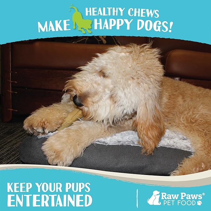 Raw Paws 5-inch Compressed Rawhide Rolls for Dogs, 20-ct - Packed in The USA - Pressed Rawhides for Dogs - Free-Range Raw Dog Hide Chews - Natural Dog Chew Sticks for Puppies & Small Breeds