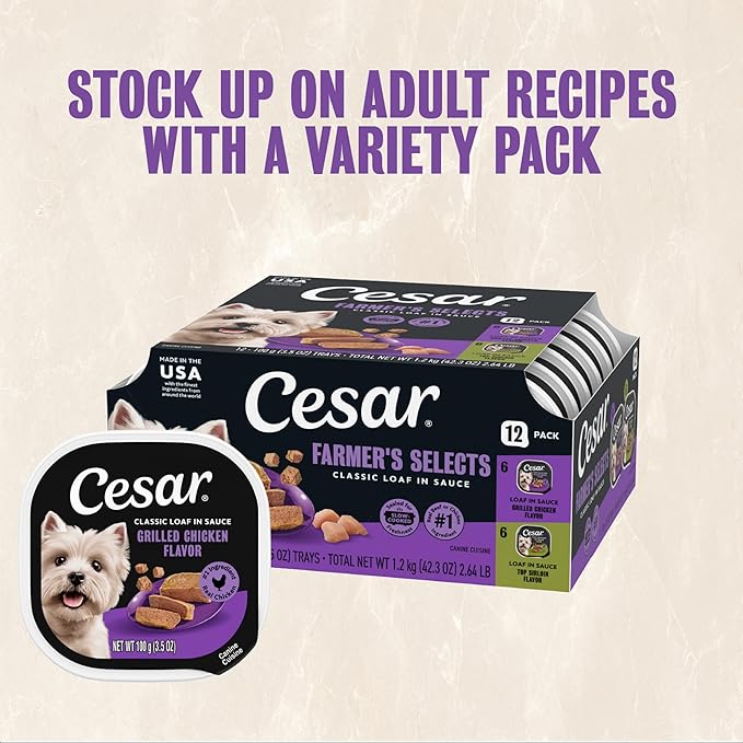 Cesar Classic Loaf in Sauce Adult Wet Dog Food Grilled Chicken Flavor, 3.5 oz. Easy Peel Trays, 24 Count (Pack of 1)