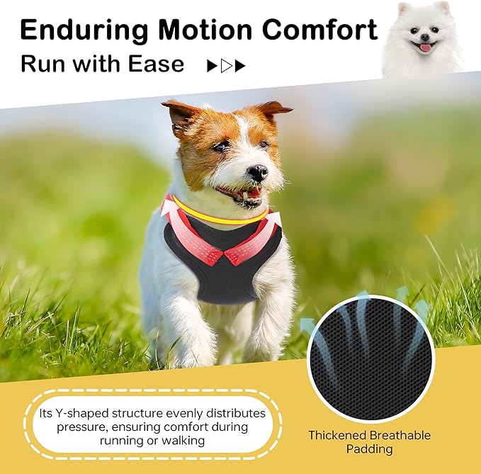 Dog Backpack Harness with Reflective Leash, Built in Poop Bag Dispenser, Adjustable Backpack for Small Dogs, Detachable Dog Back Pack for Outdoor Adventures, Puppy Training, Walking(Black,Medium)