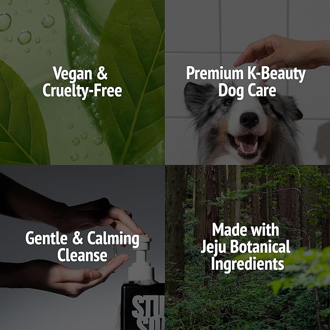 Vegan Dog Shampoo - Inspired by K-Beauty Luxury Spa Care, Long-Lasting Scent, High-Concentrate Rich Lather, Deep Cleaning & Odor Control, 500ml (Blush Garden)