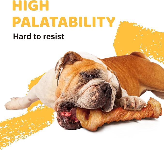 iPaw Turkey Tendon for Dogs, Ingredient Sourced from USA, Hypoallergenic, All Natural Human Grade Puppy Chew, Dog Treats for Signature Series, Rawhide Alternative, 4 Units/Pack Bone (Small)
