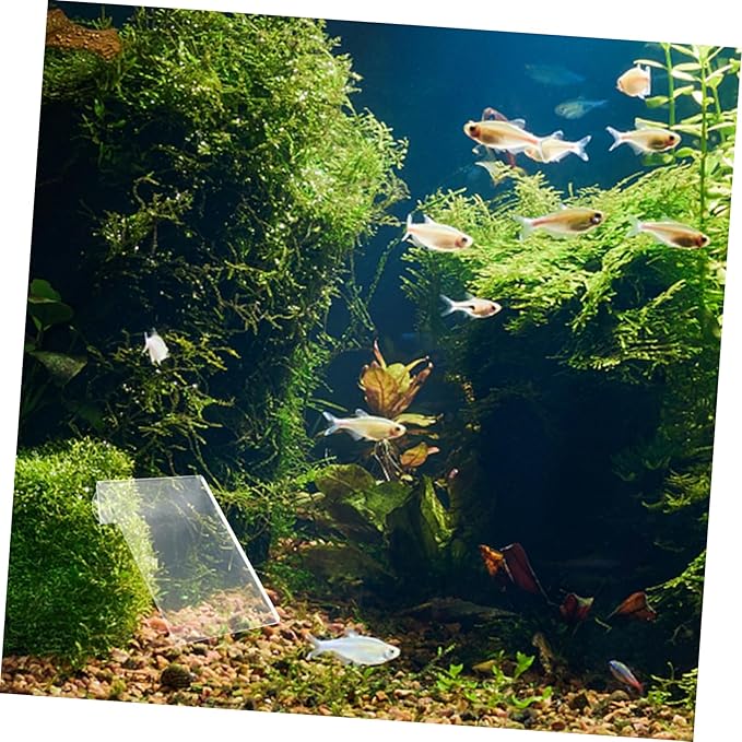 BESPORTBLE Fish Spawning Plate Cups Lightweight Breeding for Aquariums for Fish and Shrimp Farming Removable Design for Easy Installation