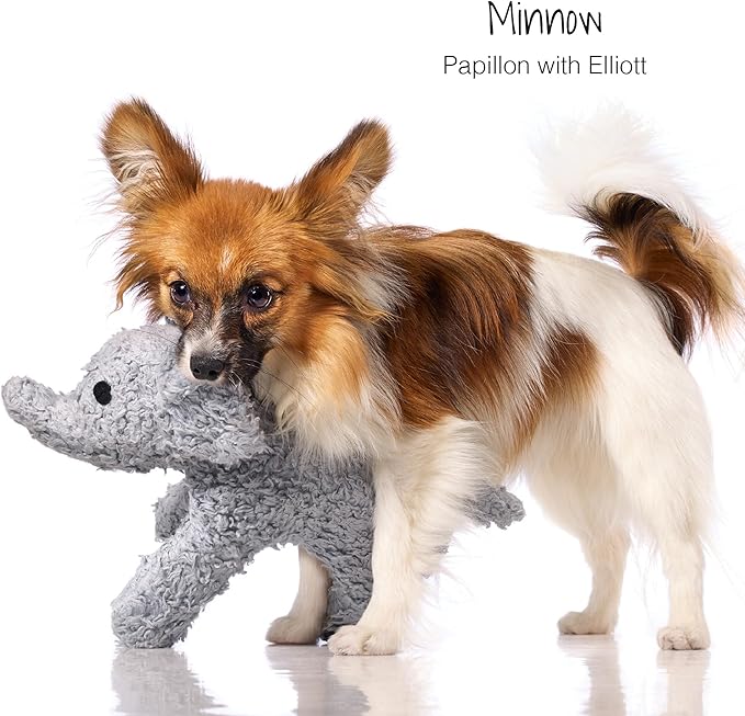 Plush Durable Cotton Dog Toys with Coconut Fill for All Pet Breeds, Bear Bunny Elephant (with Basket), One Size