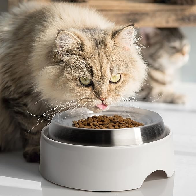 CatGuru Cat Bowls, Whisker Friendly Food Bowl for Indoor Cats, Reliefs Whisker Fatigue, Wide Kitten Dish, Non Slip Pet Dishes, Shallow Pet Plates (Stainless Steel, (Pack of 2))