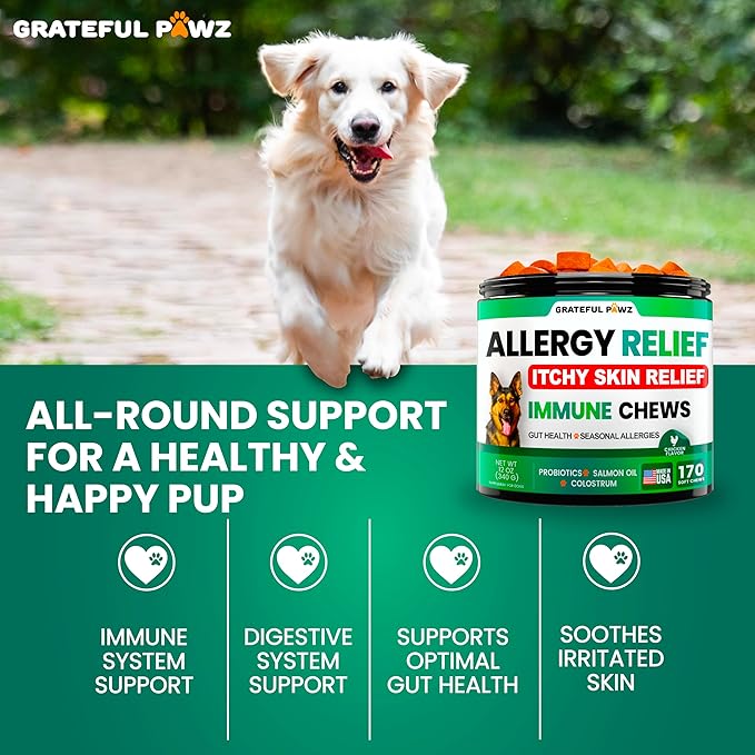 Dog Allergy Relief Chews - Dog Itch Relief - Probiotics, Omega 3 Fish Oil + Colostrum - Itchy Skin - Seasonal Allergies - Anti Itch Support & Hot Spots - Immune Health Supplement - Made in USA