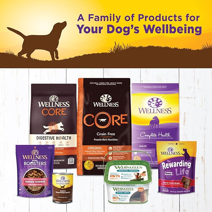 Wellness Complete Health Pate Adult Canned Wet Dog Food, Wholesome Grains, Natural, Duck and Sweet Potato, 12.5 oz, Pack of 12 Cans