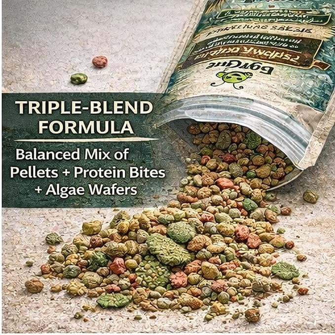 BugGraze Bottom Dweller Feast Sinking Blend Pellets & Algae Wafers for Corydoras, Plecos, Loaches & Catfish High Protein Daily Diet Clean Water Formula 3 oz Aquarium Fish Food