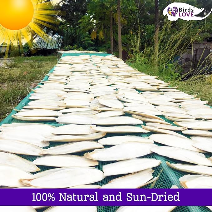 Birds LOVE 3.5-4″ Cuttlebones for Birds – 100% Natural Sun-Dried Calcium & Beak Conditioning Supplement for Parakeets, Budgies, Cockatiels, Finches & Canaries – 2 Pack with Holder – Made in Vietnam