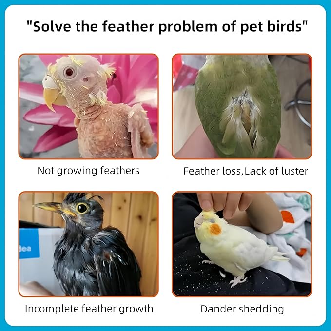 Enriched Formula Bird Spray for Enhanced Feather Health - Avian External Spray Solution