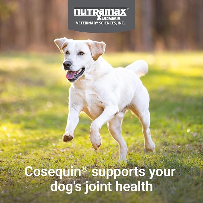 Nutramax Laboratories Cosequin Maximum Strength Joint Health Supplement for Dogs - With Glucosamine, Chondroitin, and MSM, 2 Pack, 264 Total Chewable Tablets