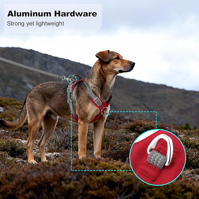 No Pull Dog Harness – Adjustable Reflective Nylon Vest for Small Medium Large Dogs, Escape Proof Training Harness with Leather Control Handle, Lightweight Aluminum Hardware (Red, XL)