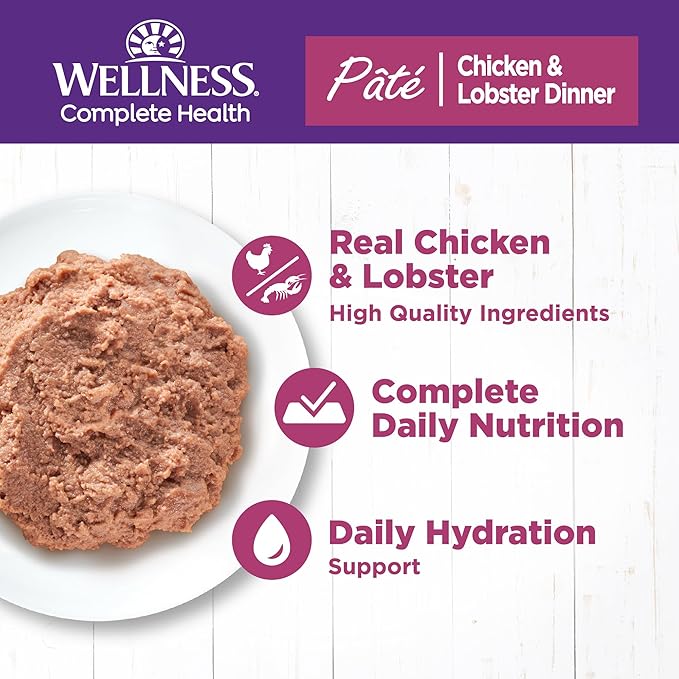 Wellness Complete Health Pate Adult Wet Cat Food, Natural, Protein-Rich, Grain Free, 5.5 Ounce, 24 Pack, (Chicken & Lobster)