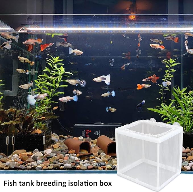 Fish Breeding Box - Aquarium Breeder Box, Mesh Box Fish Breeding Tanks | Fish Tank Breeding Isolation Box, Fish Fry Hatchery with Suction Cups, Juvenile Fish Separation Net for Fish clownfishh