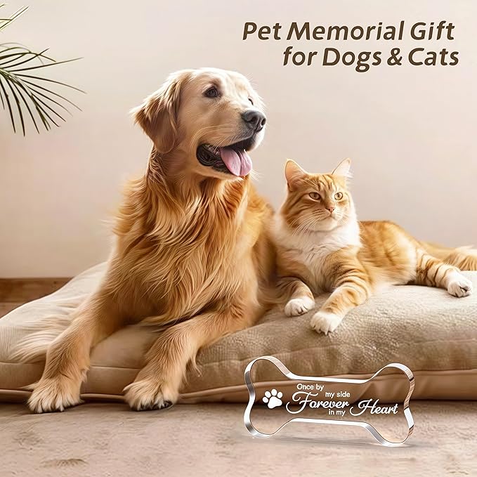 Pet Memorial Ornament Remembrance Gifts: Cynlsum Loss of Dog Cat Sympathy Gift Crystal Bone Shape Decor Ornament for Dogs Puppy Keepsake