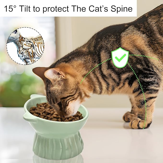 Elevated Cat Food Bowl,8 Oz Ceramic Raised and Tilted Water Bowl,Anti Vomiting and Protect Pets Spines Dishes for Fat Faced Cat, Indoor Cats,Kitten,Small Dog (Yellow)