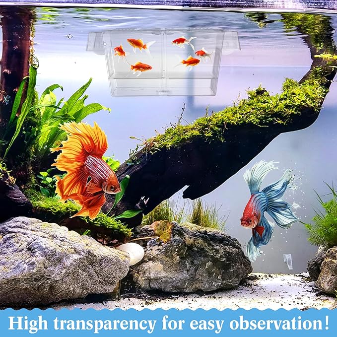 Wenqik Fish Breeder Box for Aquarium Fish Acclimation, Breeding, Hatchery Incubator Isolation Box for Shrimp Betta Guppy Cicilids Eggs(Medium)