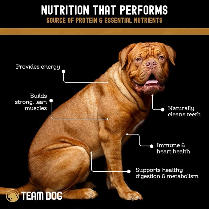 Team Dog Freeze-Dried Raw Beef Dog Treats | Dog Training Treats & Food Toppers for Picky Dogs | Made from Gluten Free, Grain Free 100% USA-Sourced Beef Lung, Liver & Heart | 14 oz Bulk Size Pack